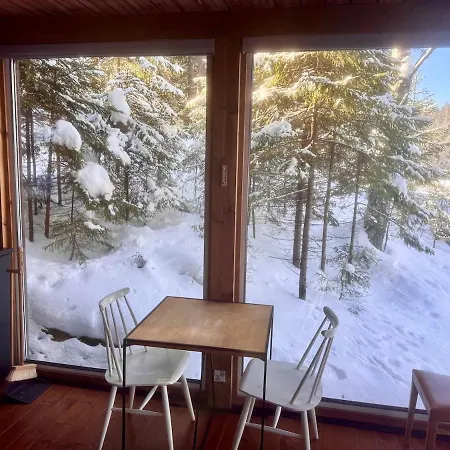 Nordic Experience Sauna